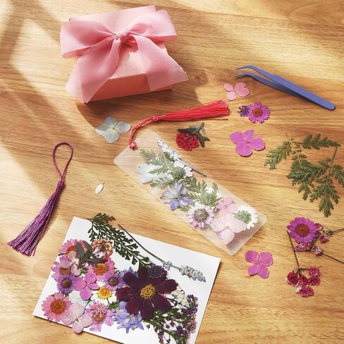 222 Pcs Dried Flower Bookmark Making Kit Include DIY Pressed Flower Colorful Tassels Ribbons and Transparent Bookmark Laminating Pouches 2 x 6 Inch (Classic Color) in Saudi Arabia