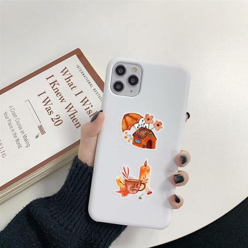 50PCS Transparent Fall Stickers, Aesthetic Autumn Stickers for Scrapbooking Laptop Water Bottles, Thanksgiving Fall Sticker for Kid, Adults Gifts in Kuwait