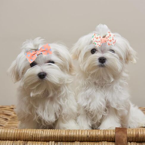 20 PCS Sakura Pink Dog Hair Bow ، Bow Bow Bow with Rubber Bands مرنة ، مزيج على النمط المصنوع يدويًا الكلاب اللطيفة GOOMING BOWKNOT BOWKNOT TOP FOUR in Kuwait