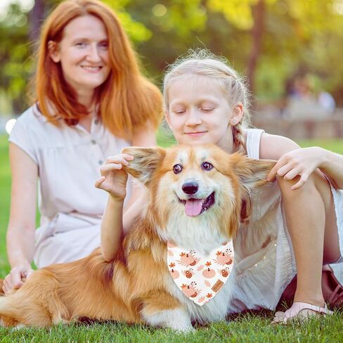 2pcs Fall Dog Bandanas Mumpkin Maple Leaves Plaid Triangle Pet Dickfable Puppy Neckerchief Dog Bib for Autumn Eantgiving Exceld in Saudi Arabia
