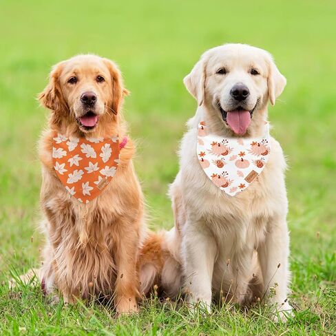2pcs Fall Dog Bandanas Mumpkin Maple Leaves Plaid Triangle Pet Dickfable Puppy Neckerchief Dog Bib for Autumn Eantgiving Exceld in Saudi Arabia
