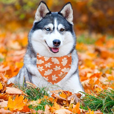 2pcs Fall Dog Bandanas Mumpkin Maple Leaves Plaid Triangle Pet Dickfable Puppy Neckerchief Dog Bib for Autumn Eantgiving Exceld in Saudi Arabia