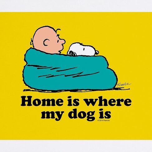 Cafepress Snoopy Home هو المكان الذي يكون كلبي ممتلئًا بـ BL mousepad ألعاب مطاطية غير قابلة للانزلاق in Saudi Arabia