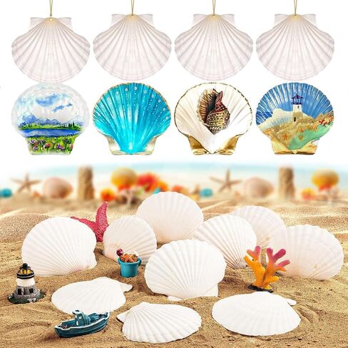 30pcs قذائف الأسقلوب الطبيعية 2.3 ''-3 '' قذائف البحر البيضاء لصنع الحرف اليدوية ، والرسم اليدوي ، والحفلات ذات الطابع المحيط وديكور المنزل in Saudi Arabia