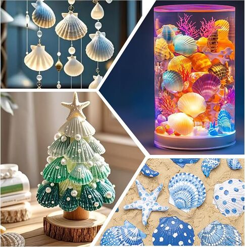 30pcs قذائف الأسقلوب الطبيعية 2.3 ''-3 '' قذائف البحر البيضاء لصنع الحرف اليدوية ، والرسم اليدوي ، والحفلات ذات الطابع المحيط وديكور المنزل in Saudi Arabia