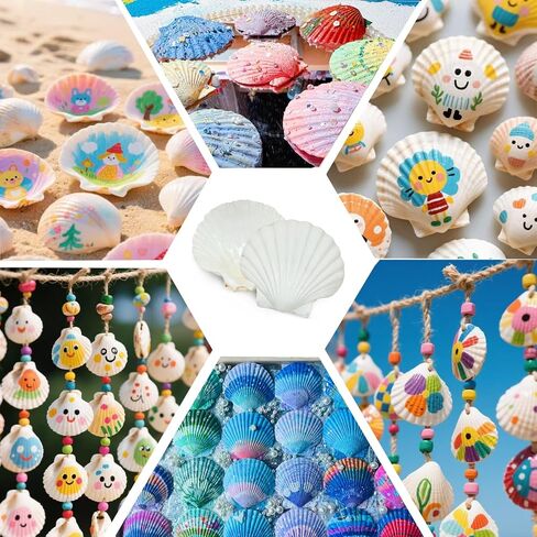 30pcs قذائف الأسقلوب الطبيعية 2.3 ''-3 '' قذائف البحر البيضاء لصنع الحرف اليدوية ، والرسم اليدوي ، والحفلات ذات الطابع المحيط وديكور المنزل in Saudi Arabia