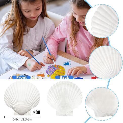 30pcs قذائف الأسقلوب الطبيعية 2.3 ''-3 '' قذائف البحر البيضاء لصنع الحرف اليدوية ، والرسم اليدوي ، والحفلات ذات الطابع المحيط وديكور المنزل in Saudi Arabia