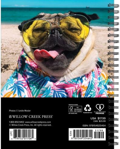 Doug The Pug 2026 6.5" x 8.5" Engagement Calendar in Saudi Arabia
