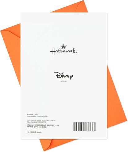 Hallmark Pack of Peanuts Thanksgiving Cards, Snoopy and Woodstock (10 Cards with Envelopes) in Saudi Arabia