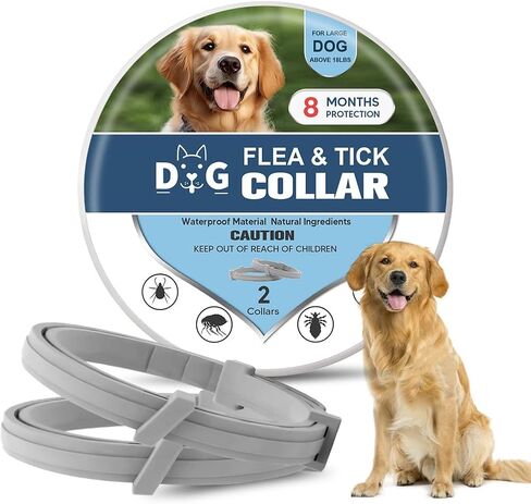 Dog Collar, Collar for Dogs, 8 Months, Adjustable and Naturally-2P in Saudi Arabia