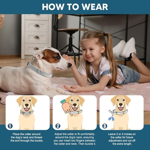 Dog Collar, Collar for Dogs, 8 Months, Adjustable and Naturally-2P in Saudi Arabia