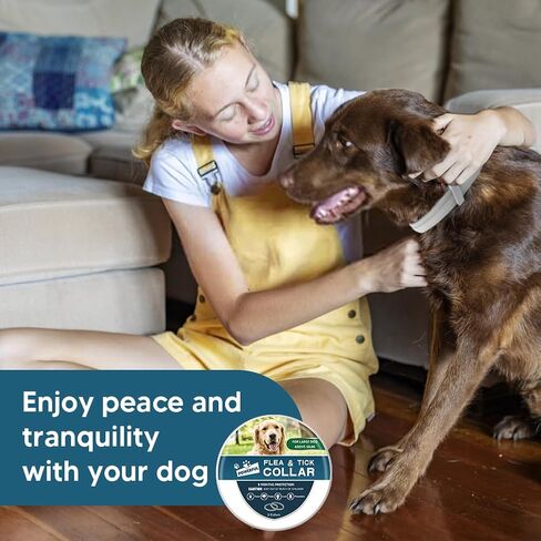 Dog Collar, Collar for Dogs, 8 Months, Adjustable and Naturally-2P in Saudi Arabia