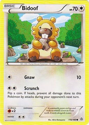 Pokemon - Bidoof (116/160) - XY Primal Clash in Saudi Arabia