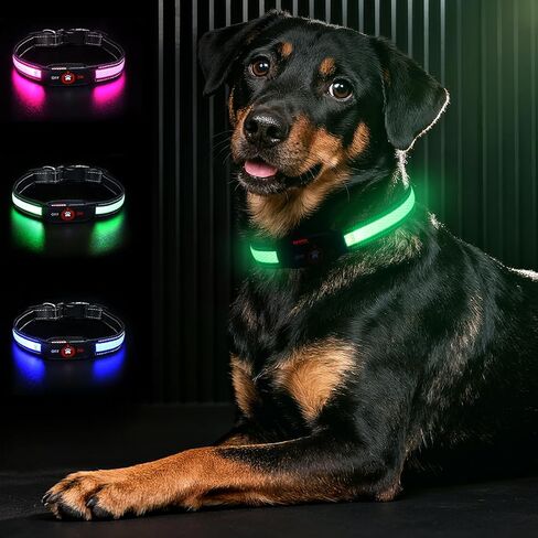 Light Up Dog Collar-Rechargeable & Long-Lasting Power LED Dog Collar Lights for Night Walking, Waterproof & Safety Glowing Collars for Medium Dogs [Green-M] in Kuwait