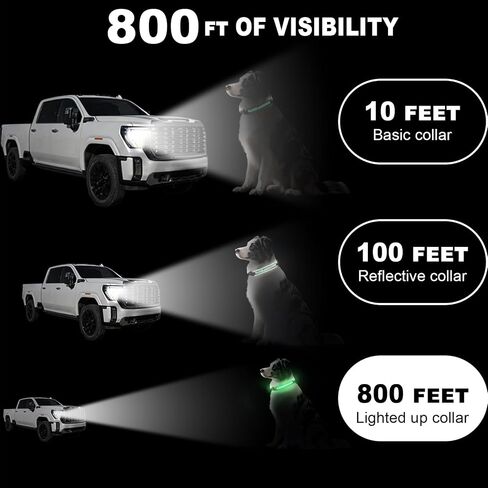 Light Up Dog Collar-Rechargeable & Long-Lasting Power LED Dog Collar Lights for Night Walking, Waterproof & Safety Glowing Collars for Medium Dogs [Green-M] in Kuwait