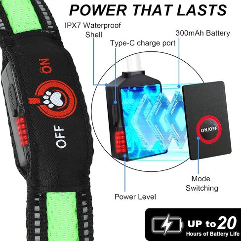 Light Up Dog Collar-Rechargeable & Long-Lasting Power LED Dog Collar Lights for Night Walking, Waterproof & Safety Glowing Collars for Medium Dogs [Green-M] in Kuwait