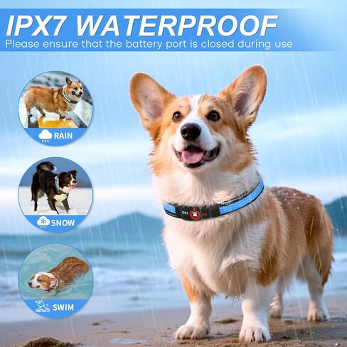 Light Up Dog Collar-Rechargeable & Long-Lasting Power LED Dog Collar Lights for Night Walking, Waterproof & Safety Glowing Collars for Medium Dogs [Green-M] in Kuwait