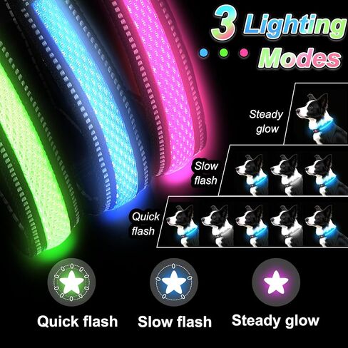 Light Up Dog Collar-Rechargeable & Long-Lasting Power LED Dog Collar Lights for Night Walking, Waterproof & Safety Glowing Collars for Medium Dogs [Green-M] in Kuwait