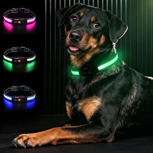 Light Up Dog Collar-Rechargeable & Long-Lasting Power LED Dog Collar Lights for Night Walking, Waterproof & Safety Glowing Collars for Medium Dogs [Green-M] in Kuwait