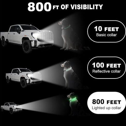 Light Up Dog Collar-Rechargeable & Long-Lasting Power LED Dog Collar Lights for Night Walking, Waterproof & Safety Glowing Collars for Medium Dogs [Green-M] in Kuwait