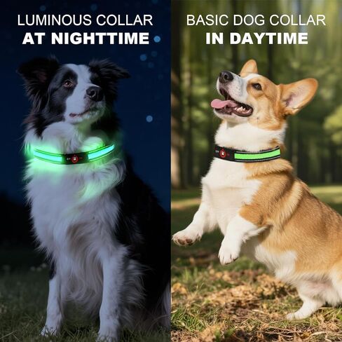 Light Up Dog Collar-Rechargeable & Long-Lasting Power LED Dog Collar Lights for Night Walking, Waterproof & Safety Glowing Collars for Medium Dogs [Green-M] in Kuwait