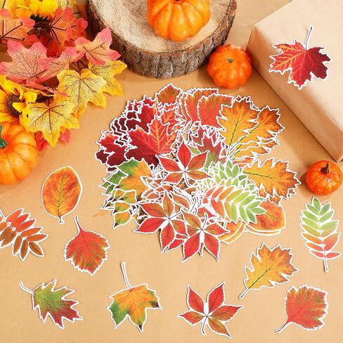 Zonon 90 PCS Fall Leave Maple Clutouts Classroom Bulletin Decor in Saudi Arabia