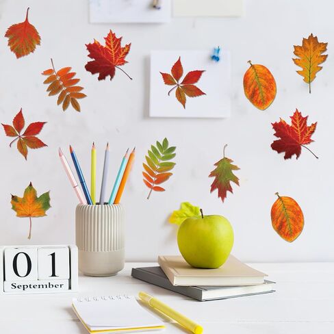 Zonon 90 PCS Fall Leave Maple Clutouts Classroom Bulletin Decor in Saudi Arabia