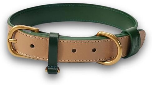 Premium Vegetable-tanned Genuine Leather Dog Collar, Personalized Fashion Dog Collars, For Small Medium Large Dogs(Fit Neck 8.7"-19.7"), Party Citywalk Travel Photography (Apricot with green, S) in Saudi Arabia