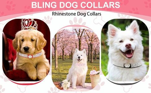 Rhinestone Dog Collar for Small Dogs, Pretty Glitter Crown Crystal Jewel Bling Cat Collar Sparkly Diamond Female Puppy Collars for Xs Small Medium Pet Girls Dogs (Blue, XS) in Saudi Arabia