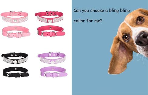 Rhinestone Dog Collar for Small Dogs, Pretty Glitter Crown Crystal Jewel Bling Cat Collar Sparkly Diamond Female Puppy Collars for Xs Small Medium Pet Girls Dogs (Blue, XS) in Saudi Arabia