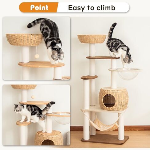 56.7in Large Wooden cat Tree for Large Multiple Cats,cat Tree with Observation Deck, Suitable for Summer and Winter 144CM (Rubberwood) in Kuwait