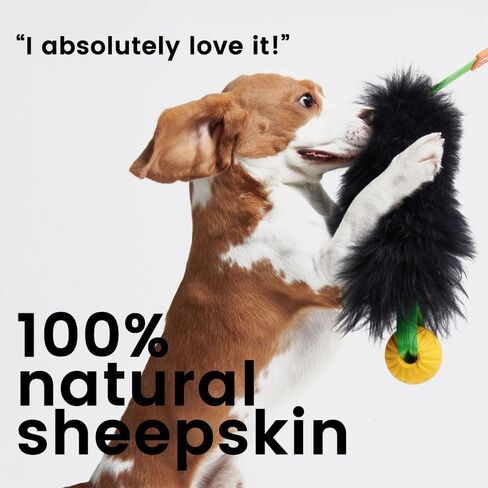 HOWGO Dog Rope Toy,Dog Bungee Chaser Toy 100% Sheepskin,Sheep Smell Tug Toy for All Breeds (Black, with Rubber Ball) in Kuwait