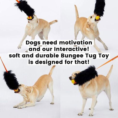 HOWGO Dog Rope Toy,Dog Bungee Chaser Toy 100% Sheepskin,Sheep Smell Tug Toy for All Breeds (Black, with Rubber Ball) in Kuwait