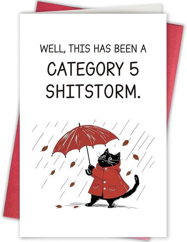 Heartfelt Appreciation Card for Women, Sentimental Birthday Gift for Wife Girlfriend, Friendship Card for Bestie Sister, You Are a Amazing Lady in Kuwait