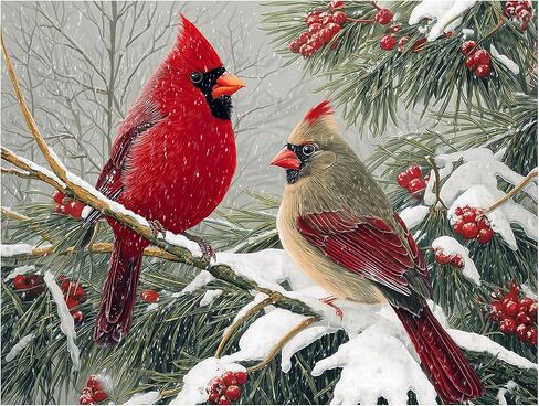 Xmrcarry Cardinal Bird Diamond Art Painting Kits للبالغين شتاء 5D جولة كاملة من النقاط الماس المبكرة للمبتدئين ، فشورت فسيود فسيفس in Saudi Arabia