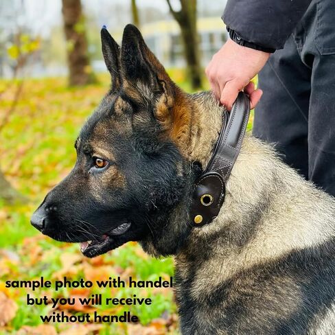K9 Heavy Dicked Handmade Heline Card Dog Twlar 100 ٪ من أجهزة النحاس ، للكلاب الصغيرة والمتوسطة والكبيرة و XL. يشمل جلود التفاح Airtag Cog Confction جيب. (كبير) in Saudi Arabia