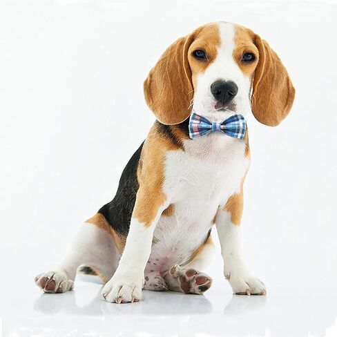Love Dream Bow Tie Dog Collar with Metal Buckle Adjustable Dog Collar with Bowtie for Small Medium Large Dogs (Large, Plaid) in Kuwait