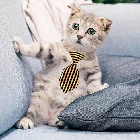 علاقات الكلاب لعيد الهالوين ، 10 أجهزة مركبة لربطات العنق الكلب للحيوانات الأليفة للهيكل العظمي جمجمة أليف رقبة جرو روابط القطط الإكسسوارات لقضاء عيد الميلاد عيد ميلاد عيد الميلاد (لون عشوائي) in Kuwait