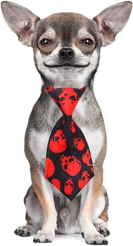 علاقات الكلاب لعيد الهالوين ، 10 أجهزة مركبة لربطات العنق الكلب للحيوانات الأليفة للهيكل العظمي جمجمة أليف رقبة جرو روابط القطط الإكسسوارات لقضاء عيد الميلاد عيد ميلاد عيد الميلاد (لون عشوائي) in Kuwait