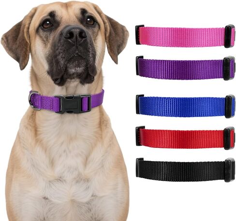 Dog Fence Replacement Collar for Shock Collar, E-Collar Replacement Strap, 1 inch Red Large in Kuwait