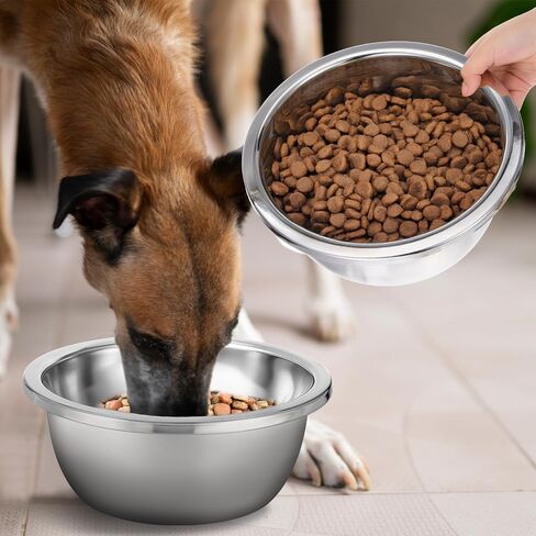 1 Gallon Large Dog Bowl Set of 6, Stainless Steel Metal Water Bowls 128oz High Capacity Heavy Duty Pet Food Bowl for X-Large and Giant Dogs, Easy to Clean in Saudi Arabia