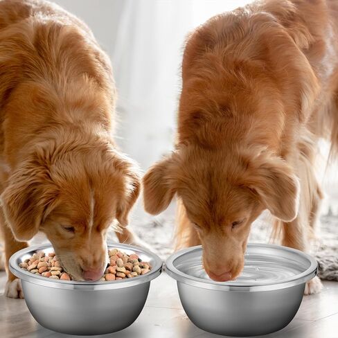 1 Gallon Large Dog Bowl Set of 6, Stainless Steel Metal Water Bowls 128oz High Capacity Heavy Duty Pet Food Bowl for X-Large and Giant Dogs, Easy to Clean in Saudi Arabia