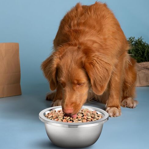 1 Gallon Large Dog Bowl Set of 6, Stainless Steel Metal Water Bowls 128oz High Capacity Heavy Duty Pet Food Bowl for X-Large and Giant Dogs, Easy to Clean in Saudi Arabia
