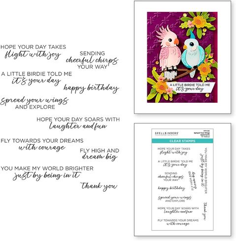 Spellbinders Spread Your Wings Sentiments Clear Stamps, Metal in Saudi Arabia