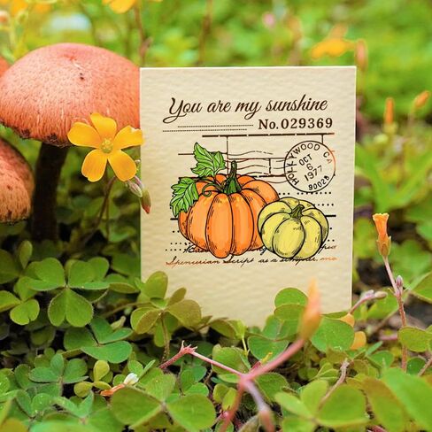 GLOBLELAND 4Pcs Autumn Pumpkin Mini Clear Stamps for DIY Scrapbooking Thanksgiving Pumpkin Corner Mini Silicone Stamp Seals Transparent Stamps for Cards Making Photo Album Journal Home Decoration in Saudi Arabia