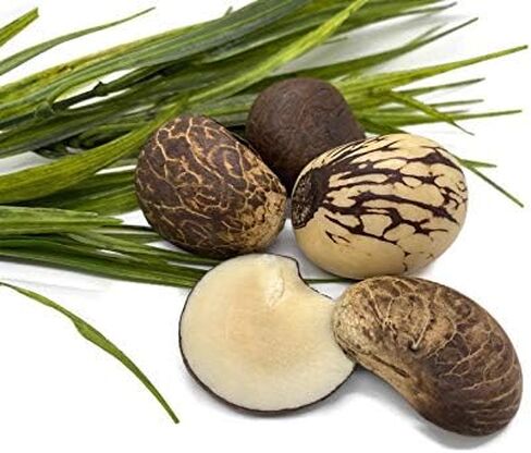 قلادة واقراط تاغوا متعددة الالوان، قلادة شريحة جوز تاغوا، قلادة عاجية نباتية. مجوهرات تاغوا مصنوعة يدويا in Kuwait