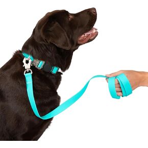 Nandog Pet Gear Waterproof Poly-Flex Sport Dog Leash with Double Latch Techology for Extra Safety & Protection (Aqua Blue, Medium/Large)
