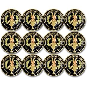 SHOP AWARDS AND GIFTS 7/8 Inch Outstanding Volunteer Lapel Pin