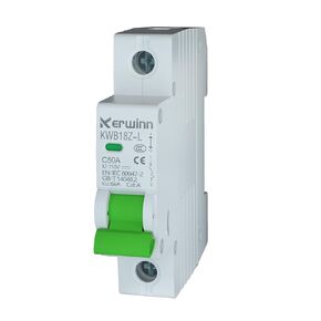 DC Miniature Circuit Breaker 12V-110V Circuit Breaker 1Pole 6Amp Smart Circuit Breaker DIN Rail Mount for Battery Power Systems,Solar photovoltaic Systems(C6A)