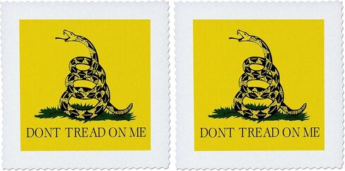 لحاف مربع من 3dRose qs_108323_4 Dont Tread on Me Snake، مقاس 12 × 12 بوصة in Kuwait